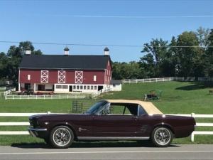 1966 Ford Mustang Convertible 289 8 Cyl Engine