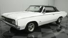 1964 Oldsmobile Cutlass F85 Deluxe Convertible Provincial White