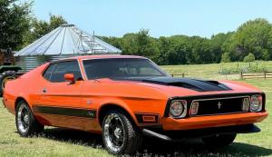 1973 Ford Mustang MACH 1 FAST BACK V8 5.8L