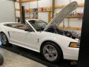 1999 Ford Mustang COBRA SVT UPDATES CUSTOM 28K MILES